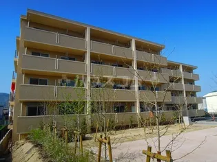 ネオコートの画像