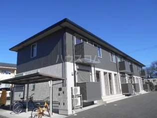 グレイスの画像