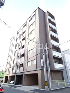 ショコラの画像