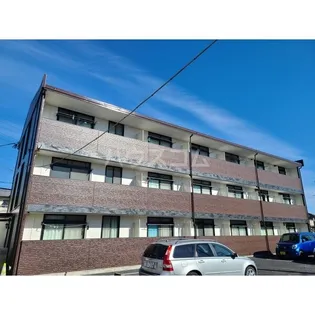 アムールの画像