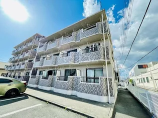 ラピスリーオⅡの画像