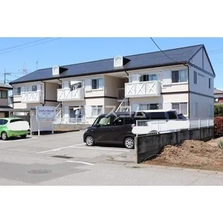 フォンティーヌオコノギの画像