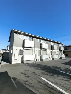 セラヴィの画像