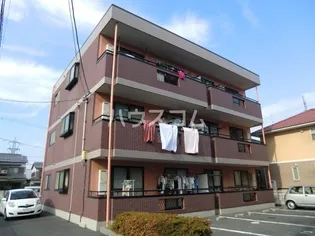 シャルマンの画像