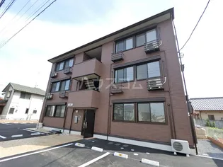 サープレマーシーBの画像