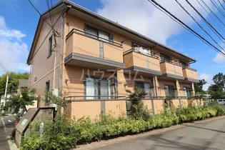 グランパパ IIの画像