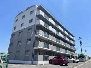 ステップVIIIの画像