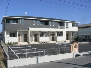 アプリコットの画像