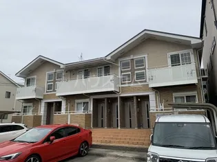 サニーシーズンの画像