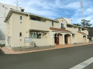 プリムローズの画像