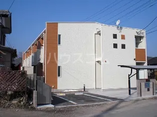 レオネクストストリームシャインの画像