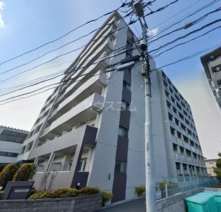 エクセルソフィアの画像