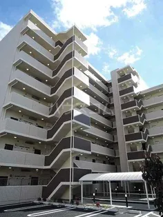 エクセルソフィアの画像