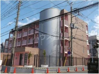 アマーレの画像