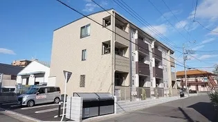 ファガスの画像