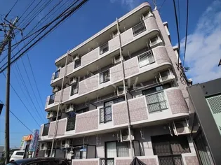 ガレットVIの画像