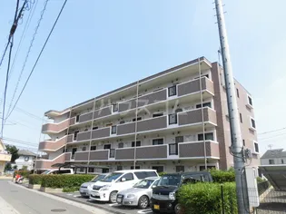 パストラルピアの画像