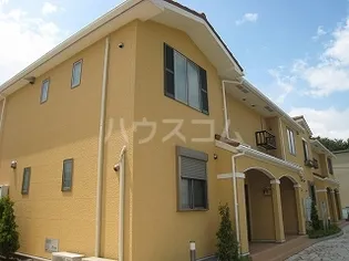 ルピナスBの画像