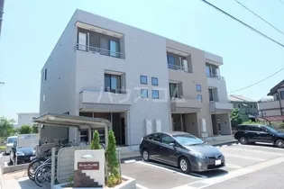 ローダンセの画像