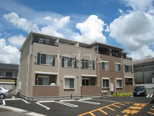 カームリーの画像