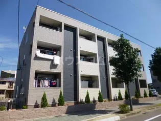 ラッフィナートの画像