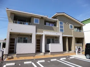 アドバンス大輪の画像