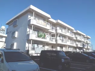 ローザンヌIIの画像