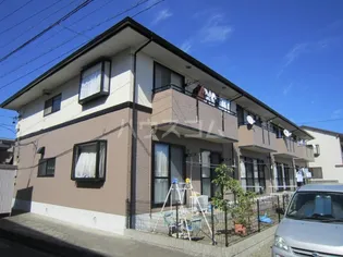 ランセハイカムールの画像