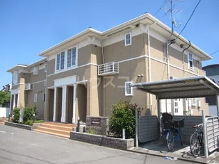 マンダリーノの画像