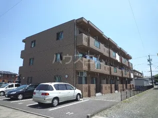 パラッツォの画像