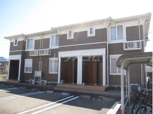 アンセリウムBの画像