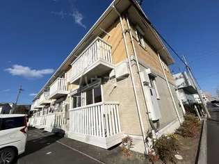 アネラ ハレの画像