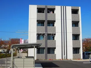 サニーカーサの画像