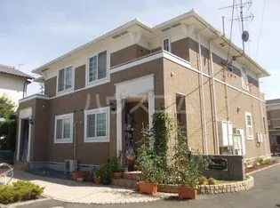 プリムローズAの画像