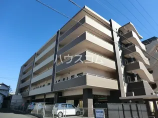 パシフィック葵の画像