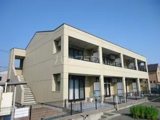 ティアモの画像