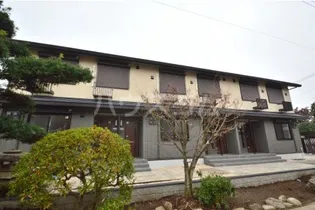 アコルトの画像