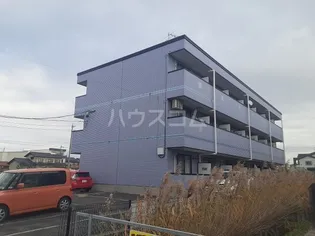 アムールグリシーヌの画像