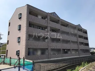 シャングリラの画像