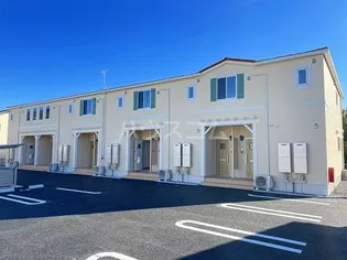 グレース ライト ジョイの画像