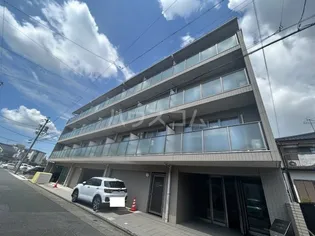 シュテルン中柳の画像