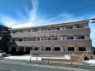 カシェットの画像