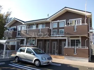 ベリーリーフIIの画像