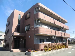 カンブリアの画像