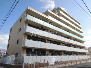 プルメリアの画像