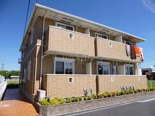 ウィンディーの画像