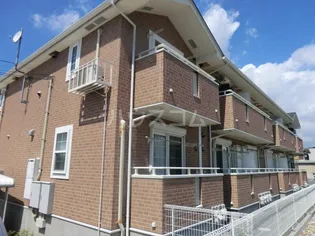 ボニートの画像