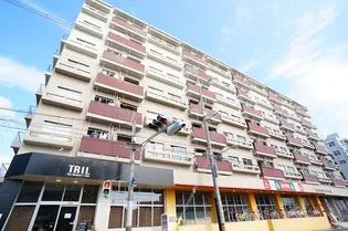 京都府京都市右京区西京極豆田町【マンション】の外観