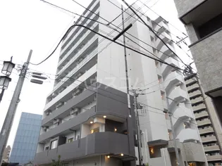 ネオ プラシードの画像