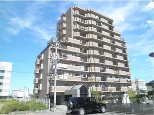 丸美ロイヤル常磐の画像